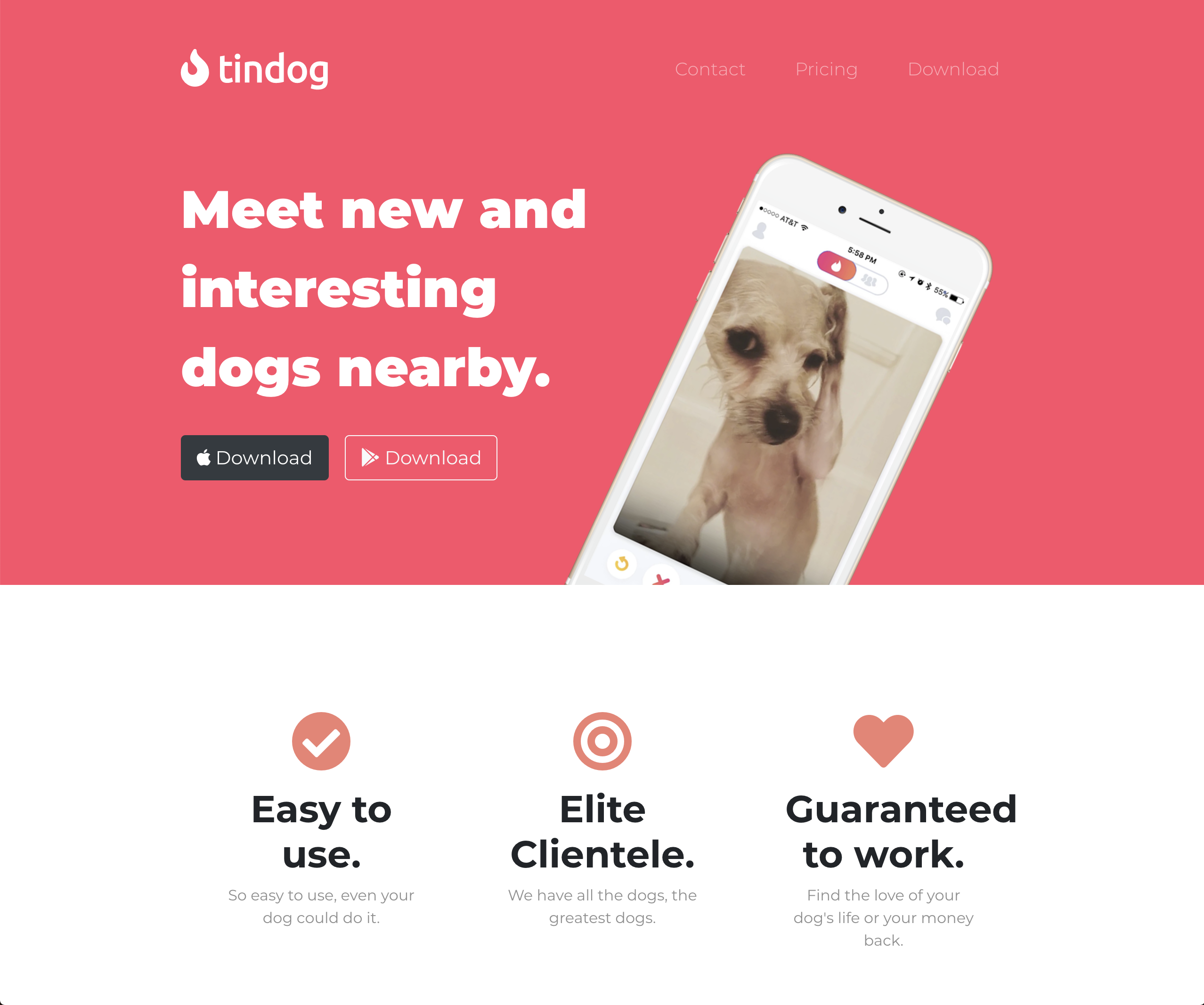 tindog